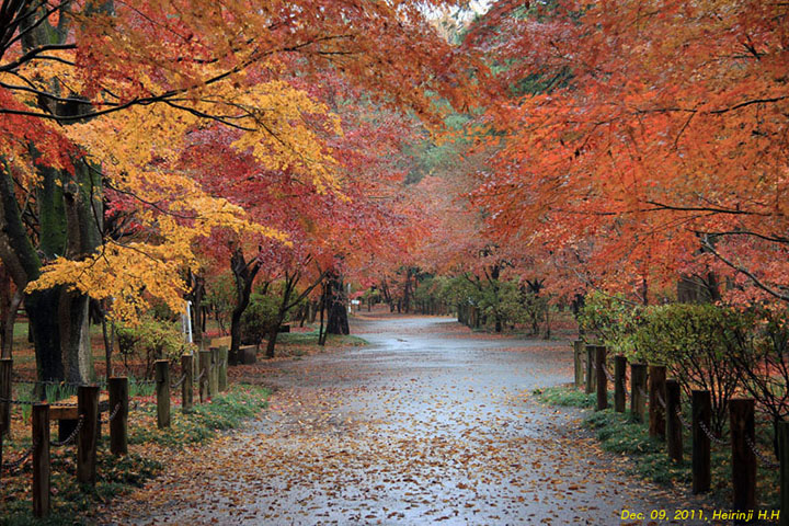 Image result for Heirin-ji